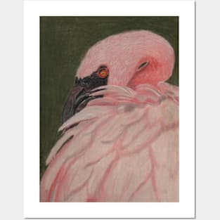 Flamingo Posters and Art